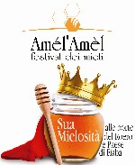 Logo_AmelAmel